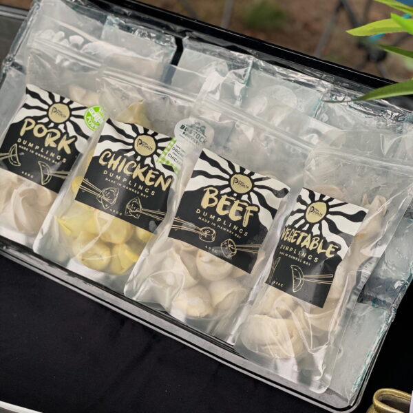 CHICKEN DUMPLINGS - Image 2